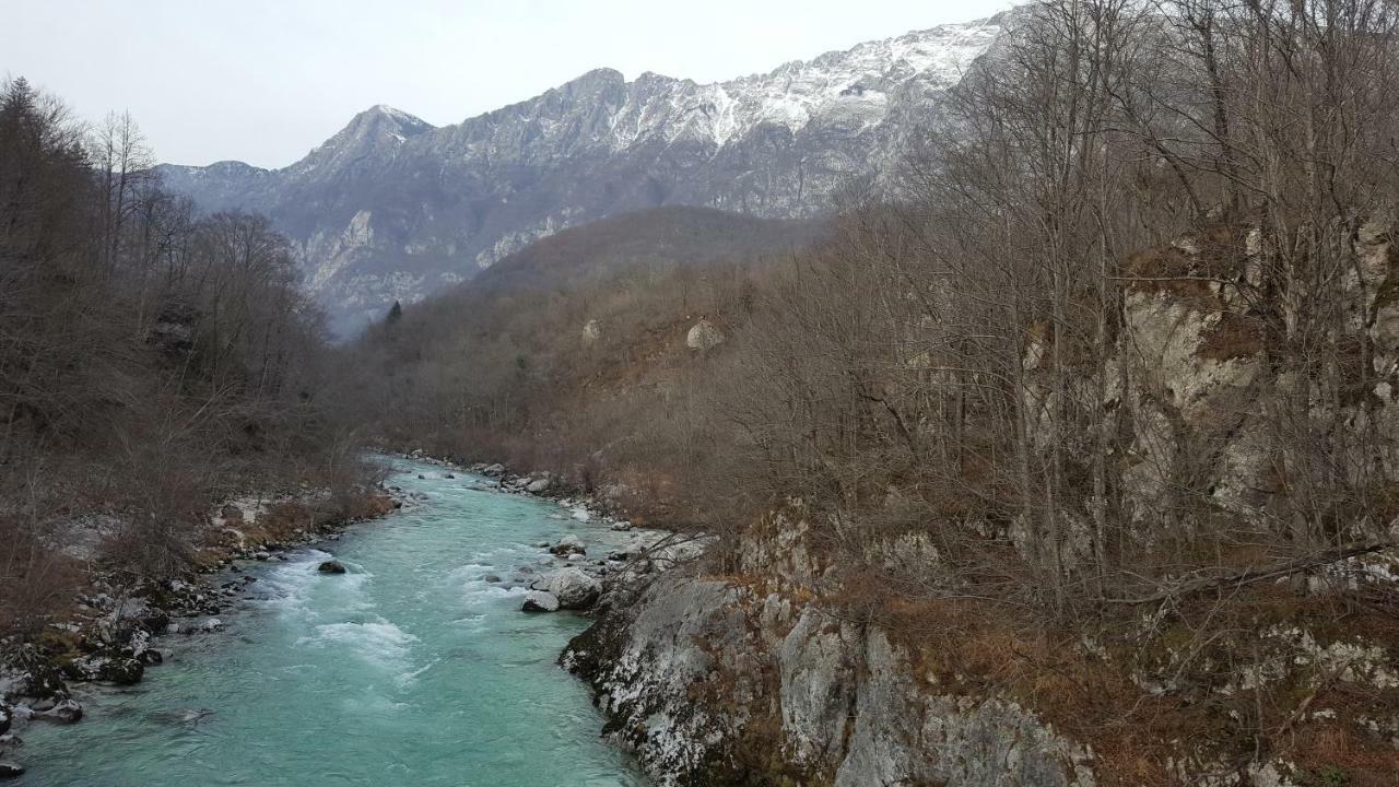 托尔明 Pocitniska Hisa Pologar旅馆 外观 照片